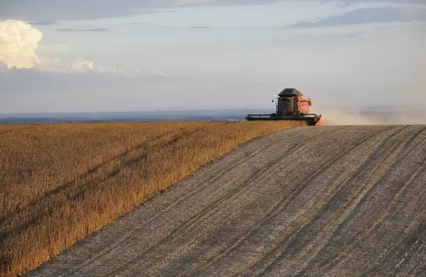 Reglamento 1115: la normativa se prorroga hasta finales de 2026 y mientras el agro seguirá operando con normalidad