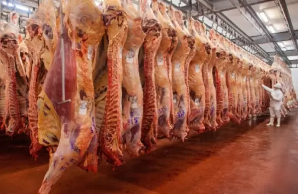 De Paraguay al mundo: carne bovina paraguaya está llegando a más de 50 países