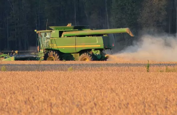 USDA proyecta 11,2 millones de toneladas de producción sojera para Paraguay, ¿se logrará con la sequía?