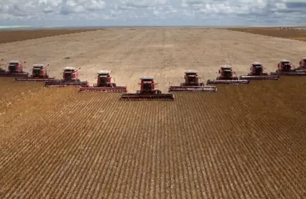 Salud del campo: áreas de siembra de soja no se reducirán, pero hay desmotivación en el productor