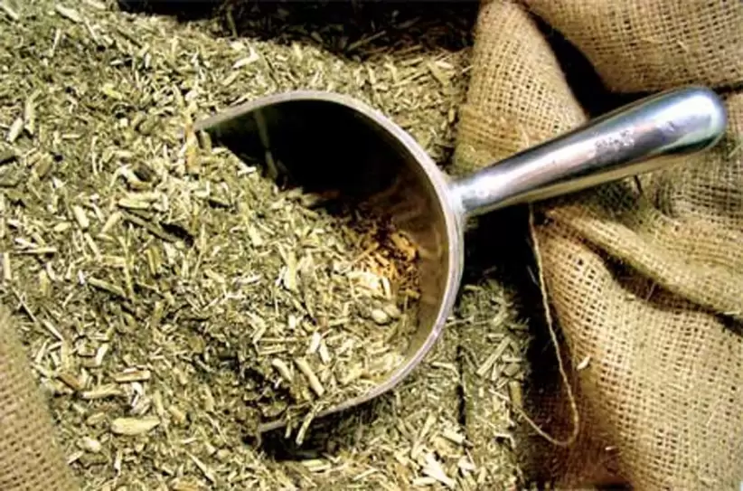 Yerba mate.