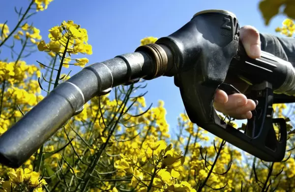 Biocombustibles: el sector que cargaría US$ 550 millones a la economía local