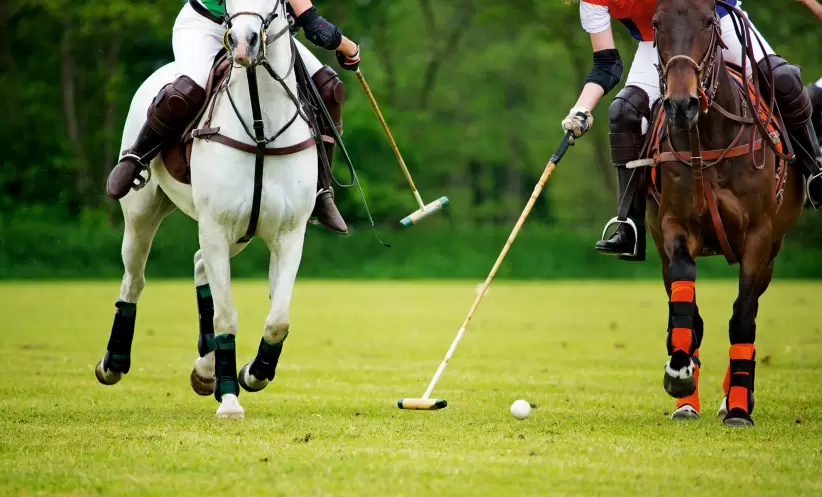 sportbiz octubre- polo -
