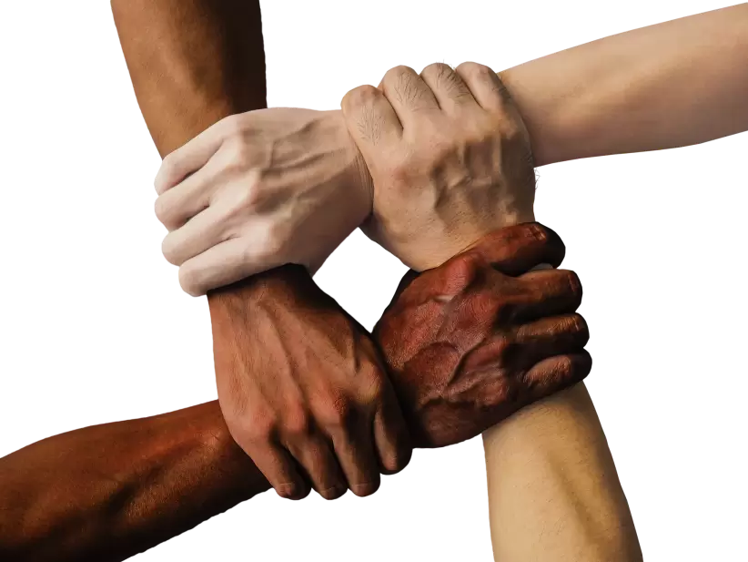 Trabajo en equipo, diversidad, inclusin (Pixabay)