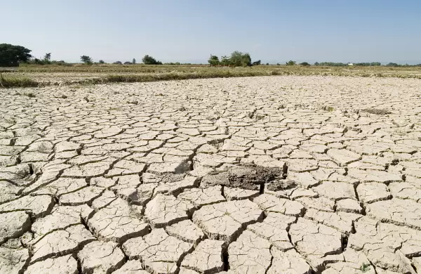 Banco Mundial: Paraguay debe adaptarse al cambio climático para no frenar la economía