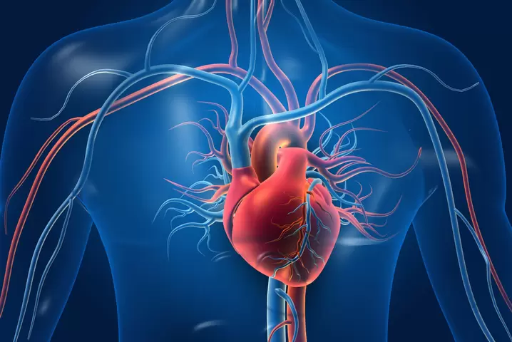 Corazón