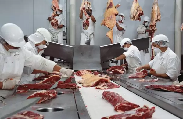 El mundo está requiriendo más carne paraguaya por su alta calidad, asegura Marys Llorens