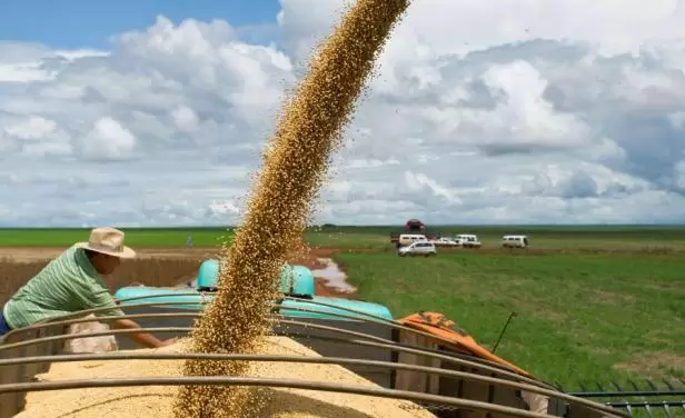 exportaciones soja uruguaya