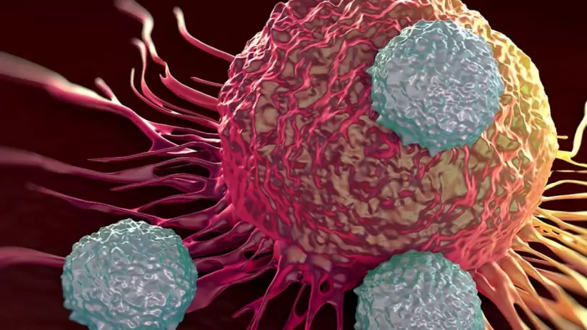 Todavía no existe una cura para el cáncer debido a su complejidad.