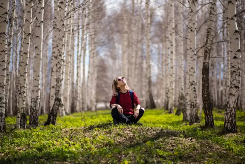 Mujer Sentada Entre rboles sostenibilidad medioambiente