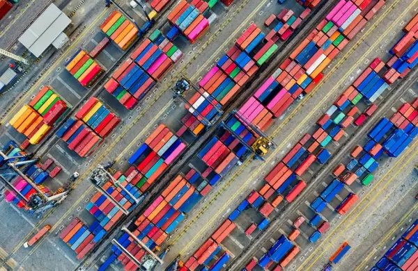 Tripas y biodiésel: estos son algunos de los productos más inusuales con que Paraguay conquistó 15 nuevos mercados