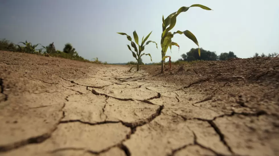 actualidad  -marzo 2023 - sequia - falta de lluvia - campo - istock-182892938