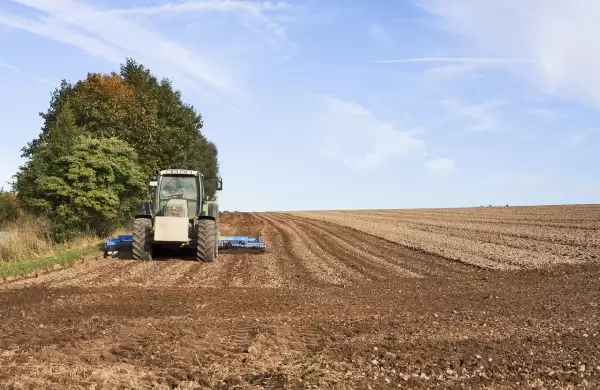Alerta roja en el campo: sequía ya genera pérdidas y pone en riesgo la economía