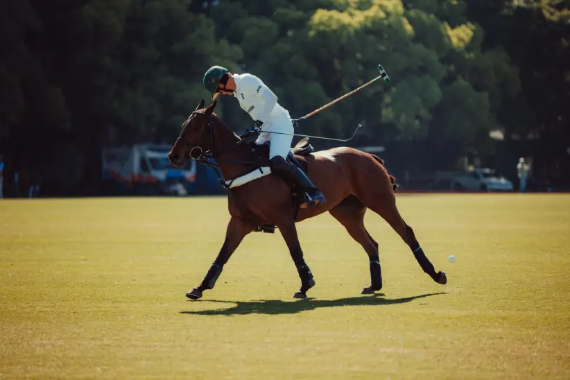 polo