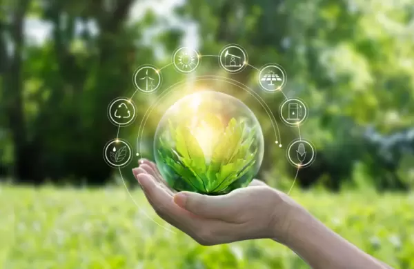 Créditos de carbono y la oportunidad para transformar la economía paraguaya