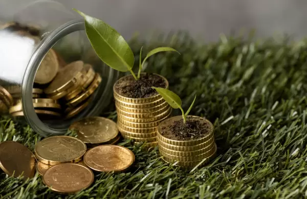 Con inversiones extranjeras Paraguay quiere transformar el suelo en oro verde