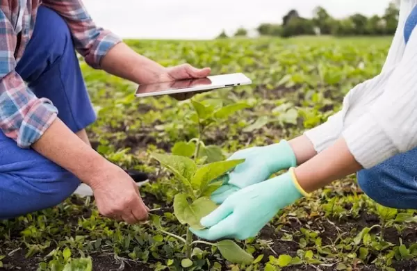 Impulsan agricultura sostenible y regenerativa en Paraguay mediante el primer Bayer ForwardFarming
