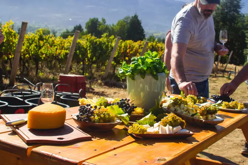 El Hoyo (Foto: Gentileza Patagonian Wines)