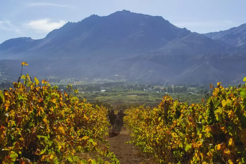 El Hoyo (Foto: Gentileza Patagonian Wines)