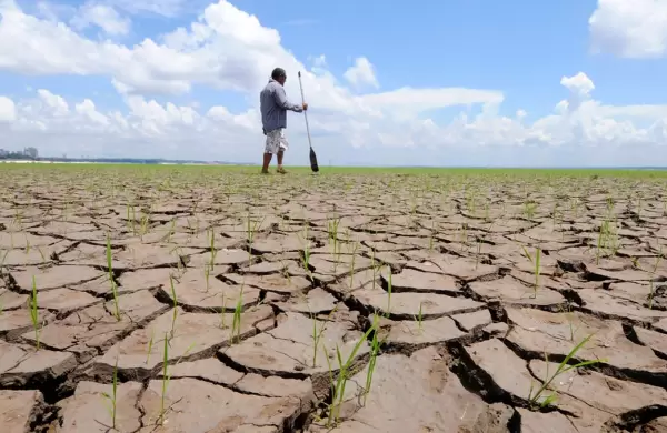 El cambio climático se siente y el campo paraguayo se adapta con miras a inversión y sostenibilidad