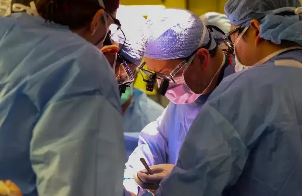 La startup detrás del primer trasplante de riñón entre cerdos y humanos ahora probará con el corazón y el hígado