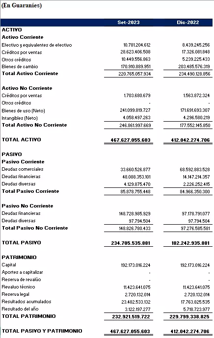 Balance General a septiembre 2023 Vilux S.A