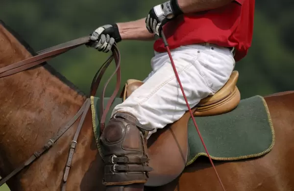 Polo: Se necesitan unos US$ 17.000 para iniciarse en el deporte