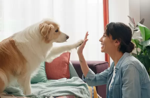 Las mascotas pueden tener un rol importante en la salud mental