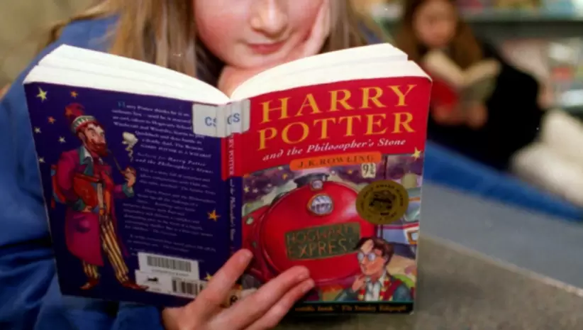 Harry Potter saga original ilustración