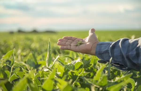 Sector agrícola será clave para el crecimiento económico en el 2024 según César Barreto