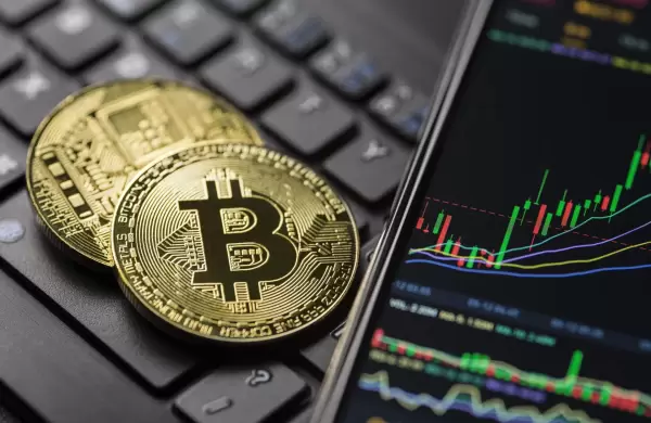 Guía de supervivencia para personas que quieren iniciar en el mundo cripto