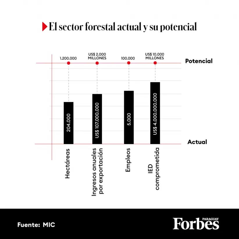 El sector forestal actual y su potencial