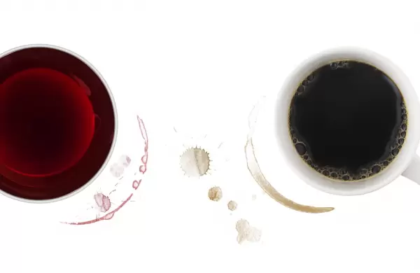 De cosechas y aromas a la conquista de la mesa