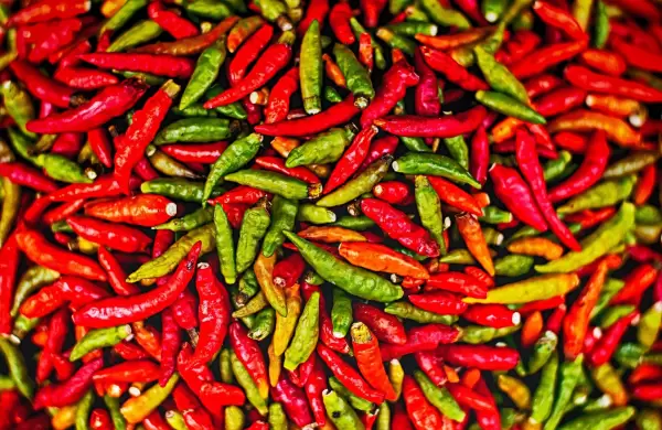 Sembrando visibilidad, cultivo de ají impulsaría el mercado de picante en Paraguay