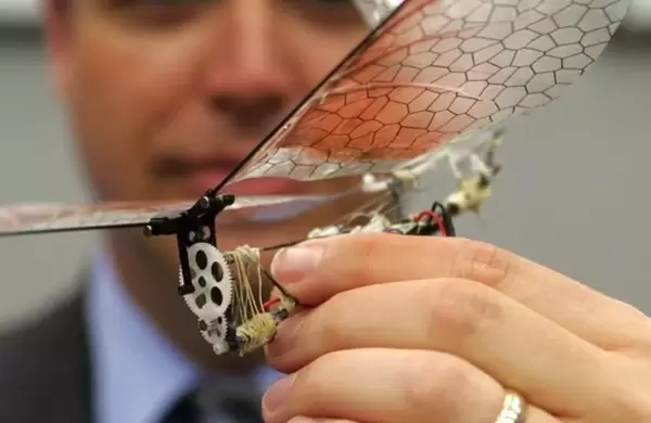 Crean drones autónomos cuyo diseño se inspira en insectos que tienen comportamientos sociales
