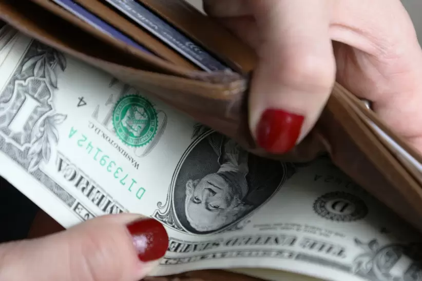 dólar, dinero, billetera