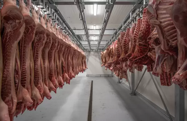 Carne porcina paraguaya sigue en crecimiento: exportaciones lograron aumento cercano al 50% en enero de 2025