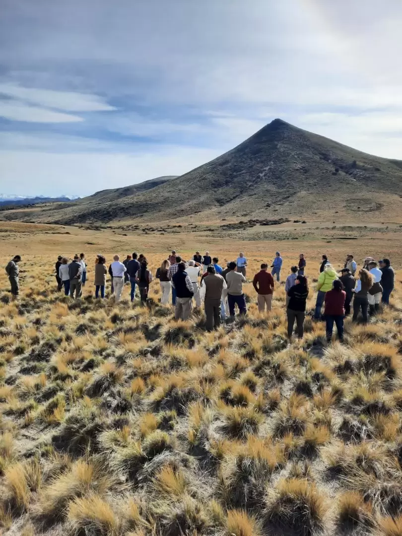 regenera rio negro  neuquen 2022 (nodo simbiosis)