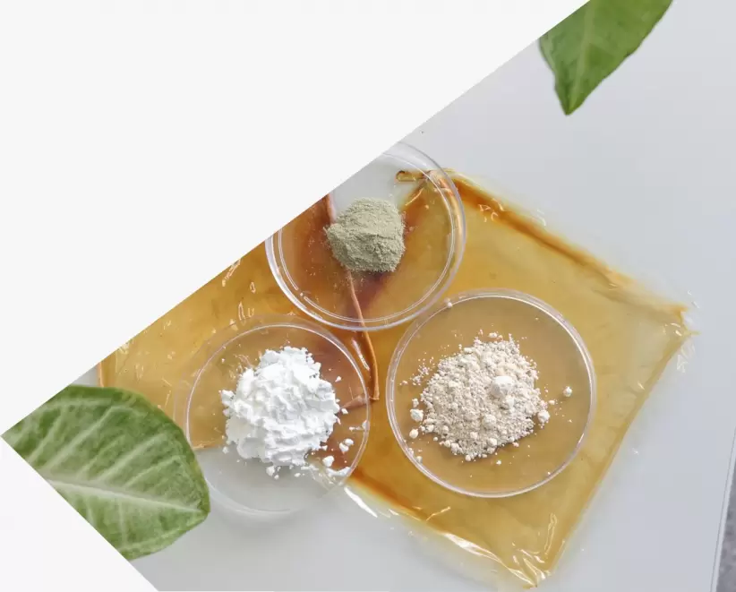 El producto de Unibaio permite que las plantas absorvan más rápido distintos componentes