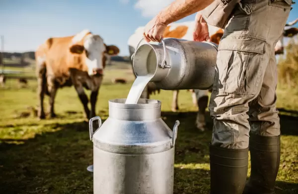Ruta de la Leche, el camino que impulsará la industria láctea en Paraguay