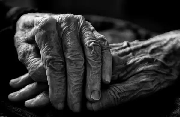 No reformar el sistema de pensiones, pone en riesgo la macro según economista