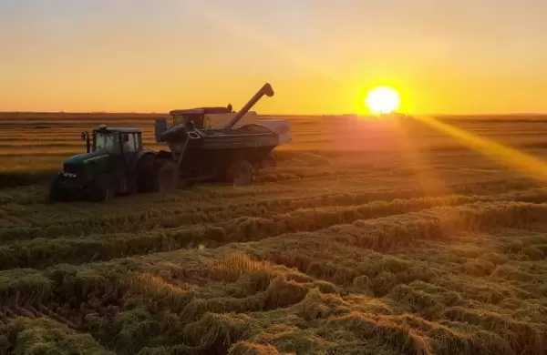 Nueva exigencia de la UE pone en jaque al agro: trazabilidad total desde 2026