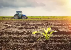 Postergación del reglamento 1115: Unión Europea da un respiro al sector productivo