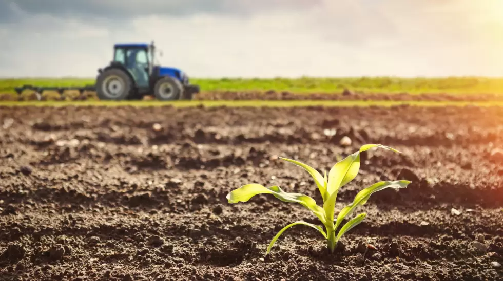 campo, tierra, agricultura