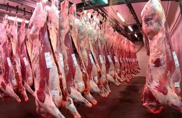 Paraguay se prepara para vender carne en el quinto mercado más grande del mundo en 2025
