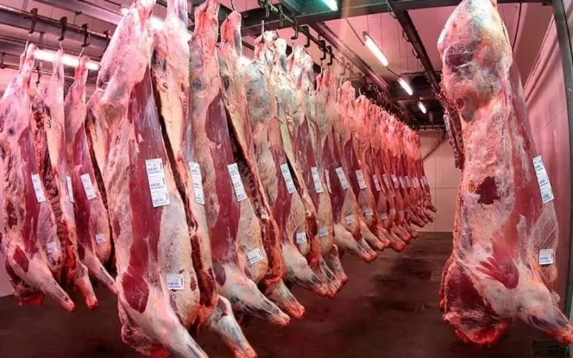 Exportacion de carne JPG