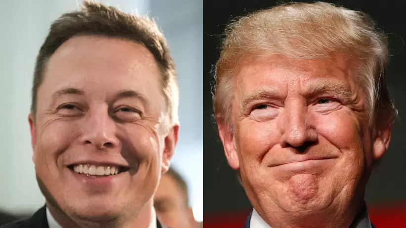 Donald Trump/Elon Musk