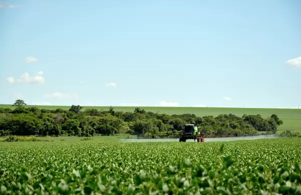Producción de soja quedaría reducida a 9,97 millones de toneladas, pero no esperan escenarios catastróficos