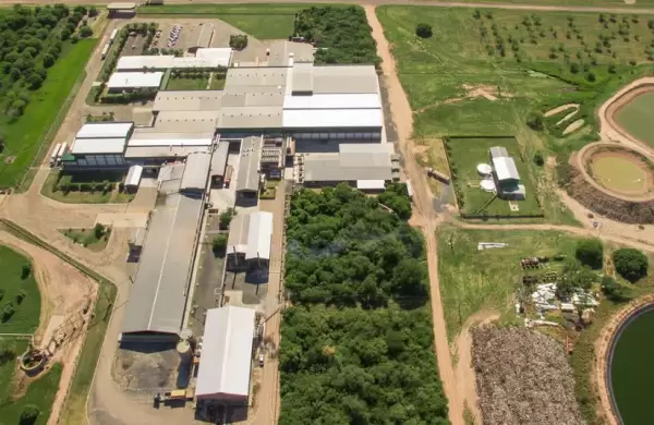 Cooperativas del Chaco sienten el impacto y el sobrecosto de la bajante del río