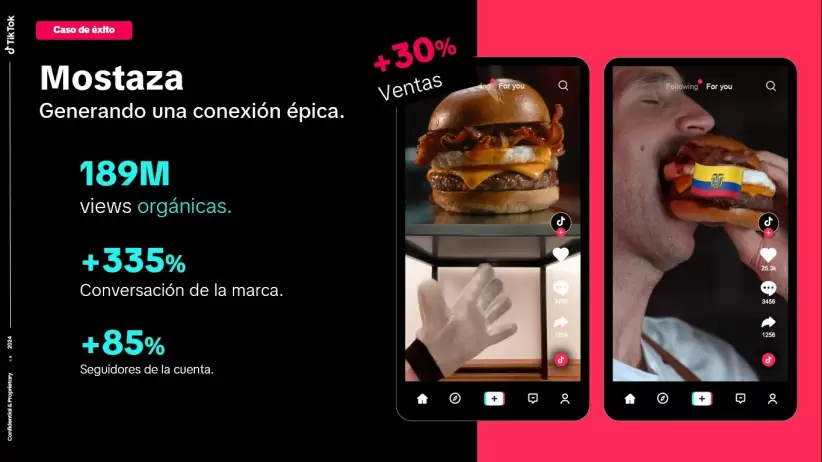 TikTok campaas y datos